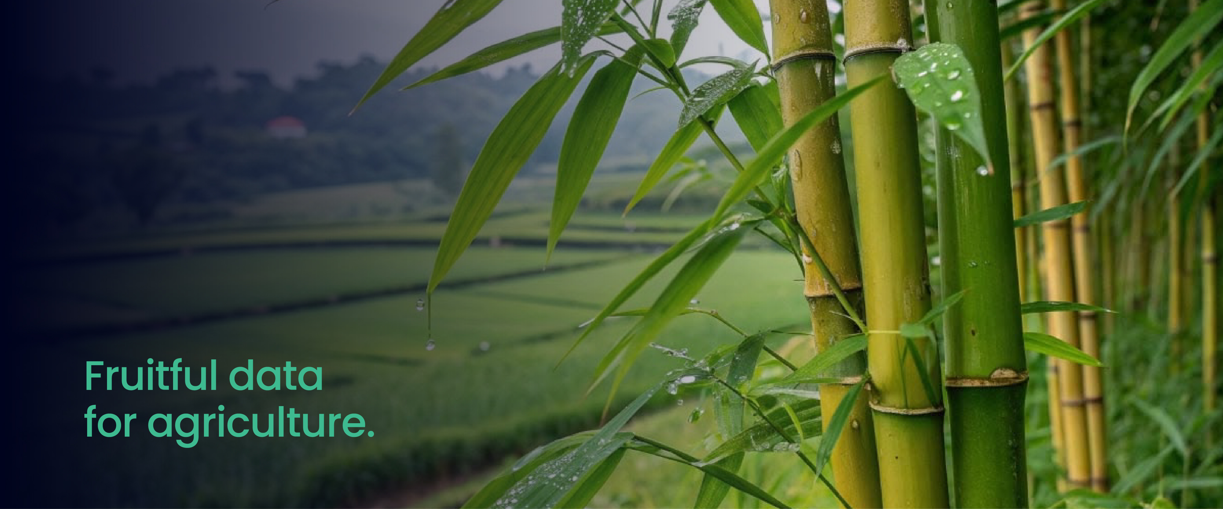 About Farmdar screen